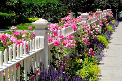 7 Pretty White Picket Fence Ideas | Art of the Home