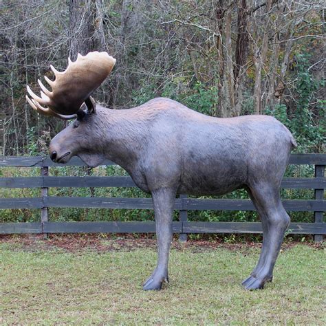 Life Size Moose Statue with Large Antler Rack Shop Display Garden ...