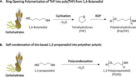 From Lab to Market: Current Strategies for the Production of Biobased ...