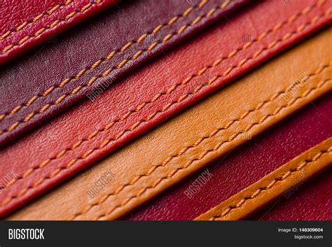 Leather Samples Image & Photo (Free Trial) | Bigstock