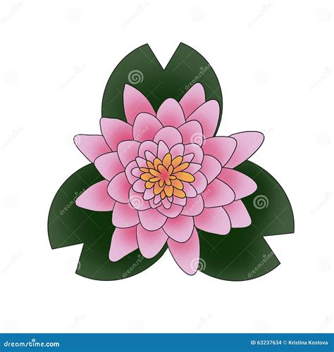 Lotus Flower Drawing Top View