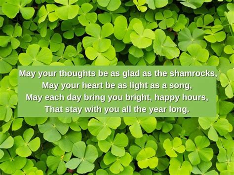 Irish Blessings for New Year 2024: Luck, Health & Prosperity