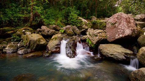 Visit Naguabo: 2021 Travel Guide for Naguabo, Puerto Rico | Expedia