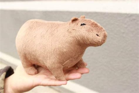 Capybara Rodent Plush Toy Soft Stuffed Capybara Animal | Etsy