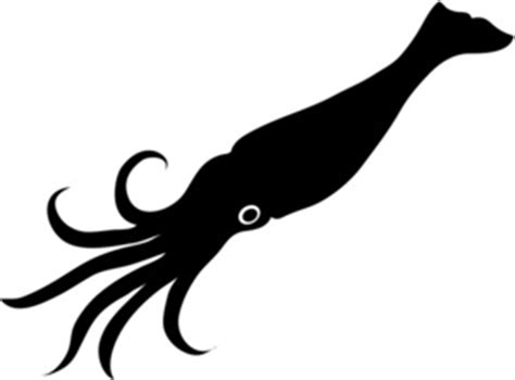 Free Squid Clipart Black And White, Download Free Squid Clipart Black And White png images, Free ...