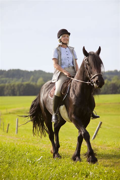 Free photo: Person Riding Horse - Mammal, Sport, Seated - Free Download - Jooinn