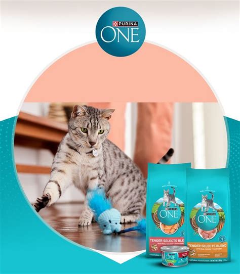 Purina ONE : Target