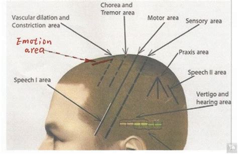 Acupuncture for Depression Q&A (2)