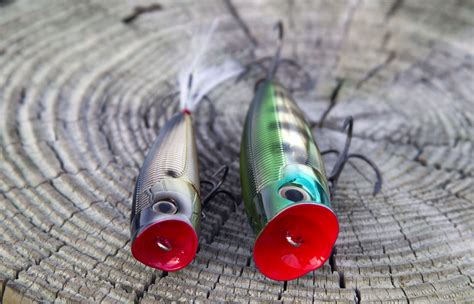 Fishing a Popper - Florida Sportsman