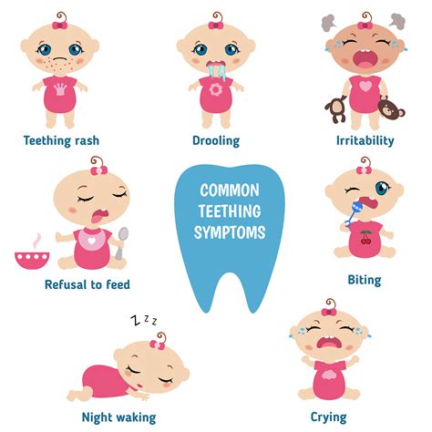 Teething signs and symptoms – Search – Bovenmen Shop