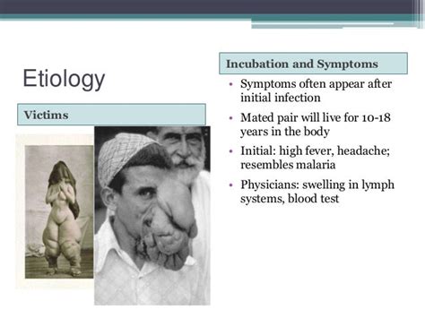 Elephantiasis Symptoms