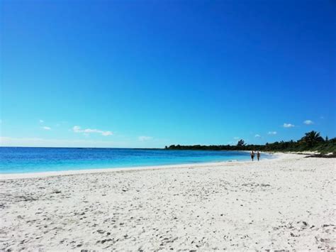 The Best Maroma Beach: White Sand Clear Waters And Lush Vegetation – DesertDivers