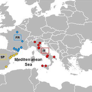 Wavelet analysis for precipitation in the Western Mediterranean area ...