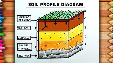 36+ Diagram Of Soil Horizons - EbenMoazzam