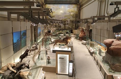 Mammals Hall Exhibit – Smithsonian Affiliations