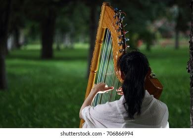 79 Paraguayan Harp Images, Stock Photos & Vectors | Shutterstock