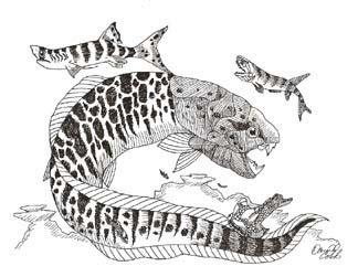 Devonian Animals - Devonian Fish Sidesteps Current Evolutionary Theory ...