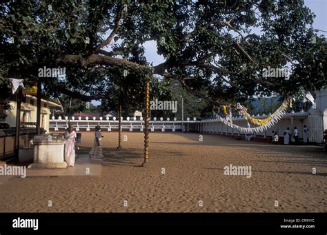 Kataragama temple, Sri Lanka Stock Photo, Royalty Free Image: 48777328 ...