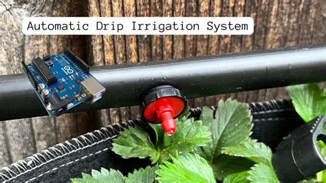 DIY Automatic Drip Irrigation System! | Srilu Varma - YouTube