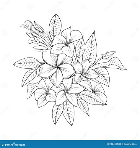 Polynesian Frangipani Tattoo Designs, Araliya Flower Drawing, Hand ...