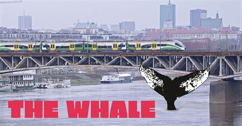 Watch the Documentary “The Whale”! - Przekrój.org