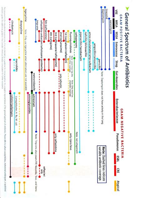 Antibiotic Spectrum | PDF