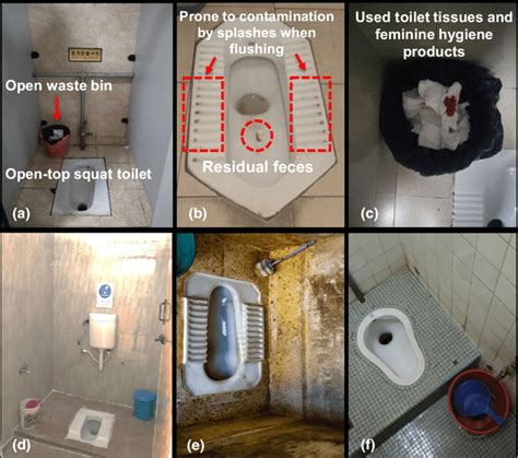 Squat toilets in different geographic regions. (a) A toilet cubicle for ...