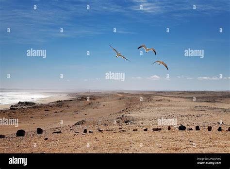 Namib Desert, Skeleton Coast, Namibia Stock Photo - Alamy