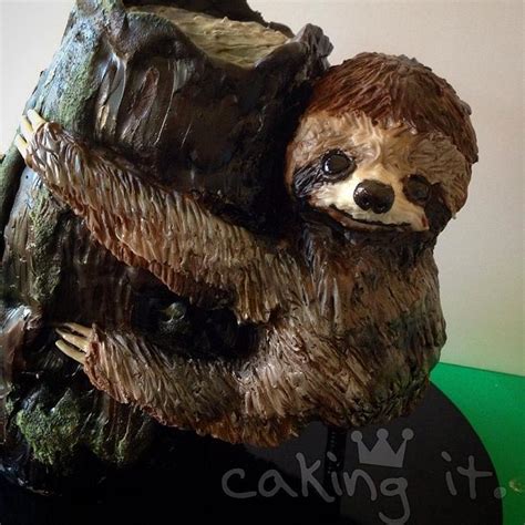 Sloth Cake - Decorated Cake by Caking it. - CakesDecor