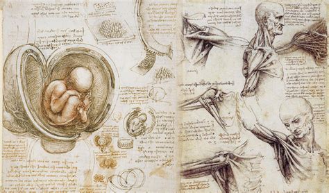 Leonardo-da-Vinci-Anatomy-References - 3DArt