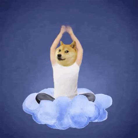 Cloud Dog Rainbow No One Cares Meme GIF | GIFDB.com