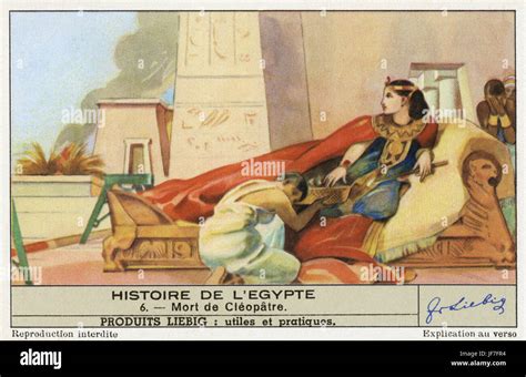 Death of Cleopatra. Cleopatra VII Philopator 69 -30 BCE. Last pharaoh of Ptolemaic Egypt. After ...