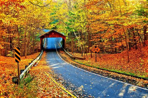 Autumn Roadway Through a Covered Bridge - 4K Ultra HD Wallpaper