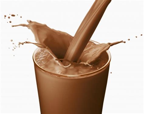 PREPARATION OF CHOCOLATE MILK - AgriMoon.Com