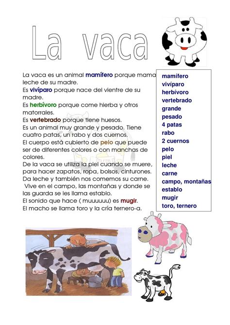 DESCRIPCIÓN ANIMALES | Teachers, Animals, Words