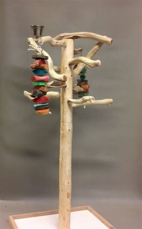 17 Best images about DIY Bird Perches & Toys on Pinterest | Manzanita ...