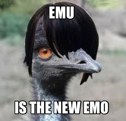 Meme Creator - Funny Emo Meme Generator at MemeCreator.org!