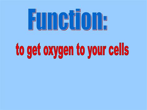 Respiratory System. - ppt download