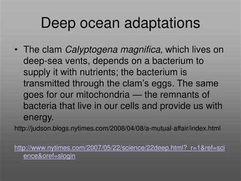 PPT - Deep ocean creatures, adaptations & sounds; 5 August 2008 ...