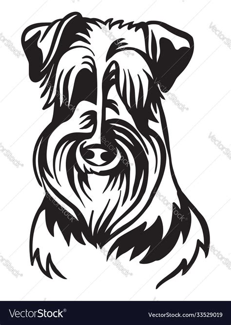 Image schnauzer dog on white background Royalty Free Vector