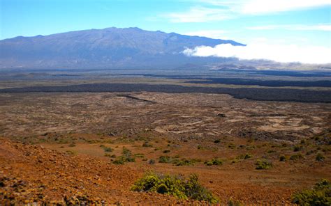 CEMML team helps military conserve rare species on Hawaii's Big Island - CEMML