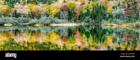 Fall foliage panorama in Crawford Notch, State Park, NH Stock Photo - Alamy