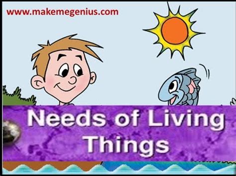 Needs of Living Things Animation Kindergarten Prescoolers Kids - YouTube