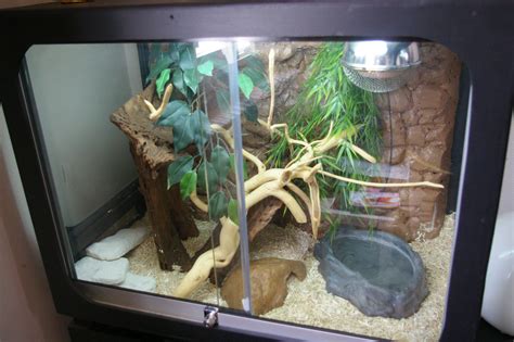 Corn snake homemade house | Corn snake, Snake cages, Pet snake