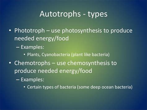 Flow of Energy in an Ecosystem - ppt download