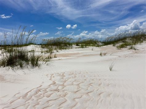 Anastasia State Park | Florida State Parks