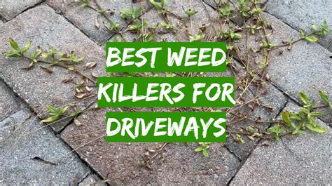 Top 5 Best Weed Killers For Driveways [July 2024 Review] - Grass Killer