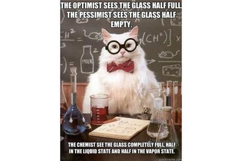 The Best of the Chemistry Cat Meme | Chemistry cat, Biology jokes ...