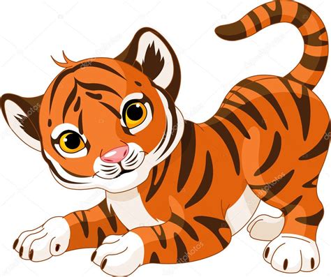 Playful tiger cub Stock Vector Image by ©Dazdraperma #13715335