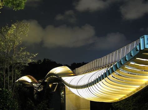 Henderson Waves Bridge, Singapore